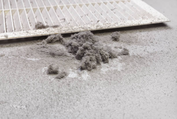 Best Affordable Air Duct Cleaning  in Grantville, GA